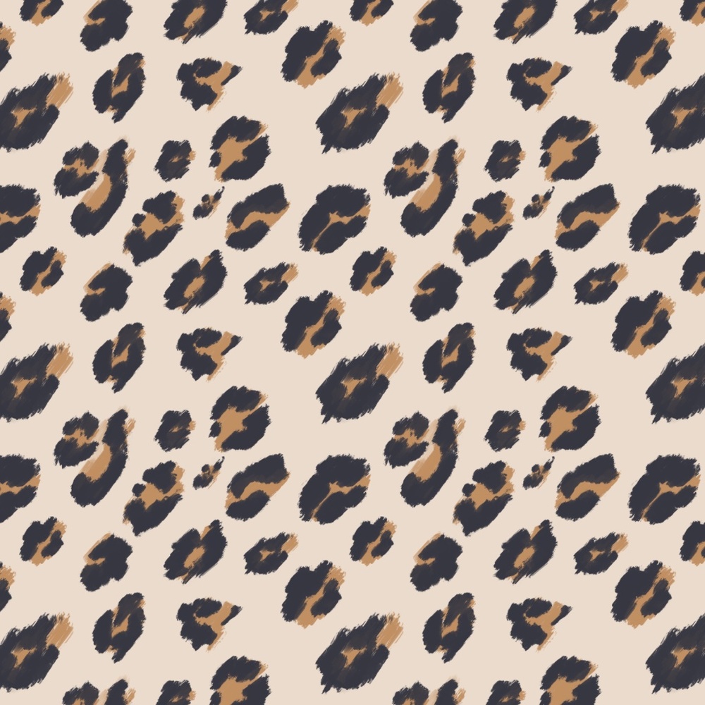 Meet your Posher, Addy